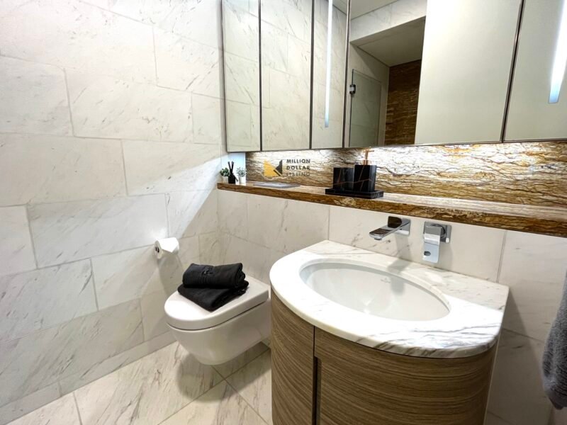 Common Bathroom